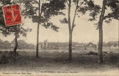 On a là une vue d'ensemble de la place, on peut se rendre compte de la grandeur de celle ci et l'imaginer lors des concours où autres manifestations qui attiraient les foules. 